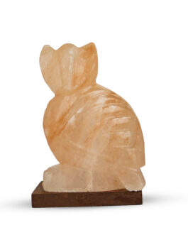 Himalayan Pink Salt Wisdom Owl Lamp