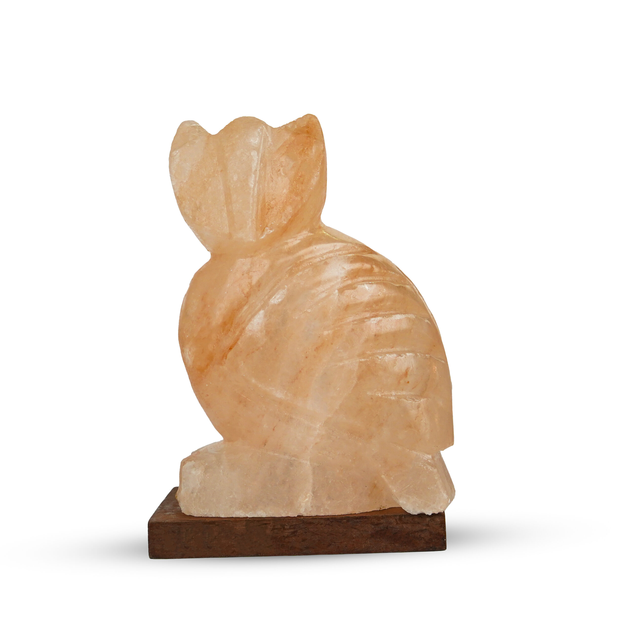 Himalayan Pink Salt Wisdom Owl Lamp
